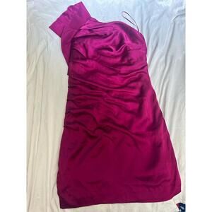 EXPRESS Fusia Strapless Ruched Short Party Cocktail Dress Size 4
